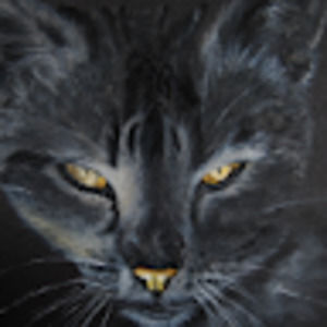 Meet your Posher, Marie